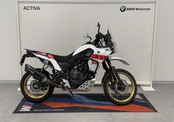 Yamaha Ténéré 700 Rally Edition (2022 - 24) usata