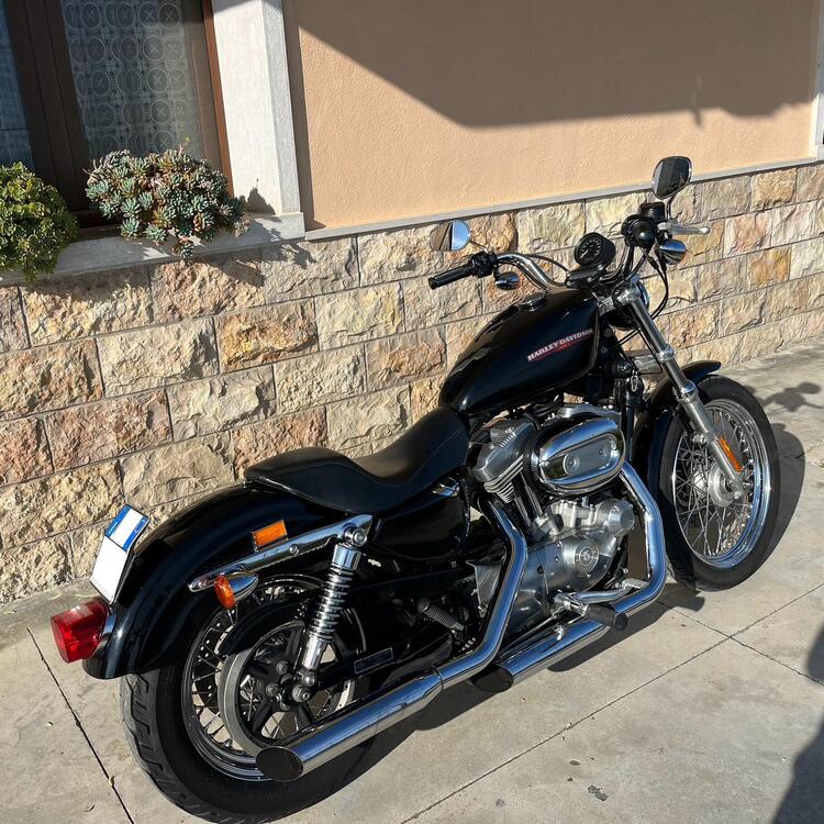 Harley-Davidson 883 Low (2006 - 07) - XL 883L