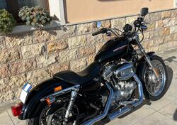 Harley-Davidson 883 Low (2006 - 07) - XL 883L usata