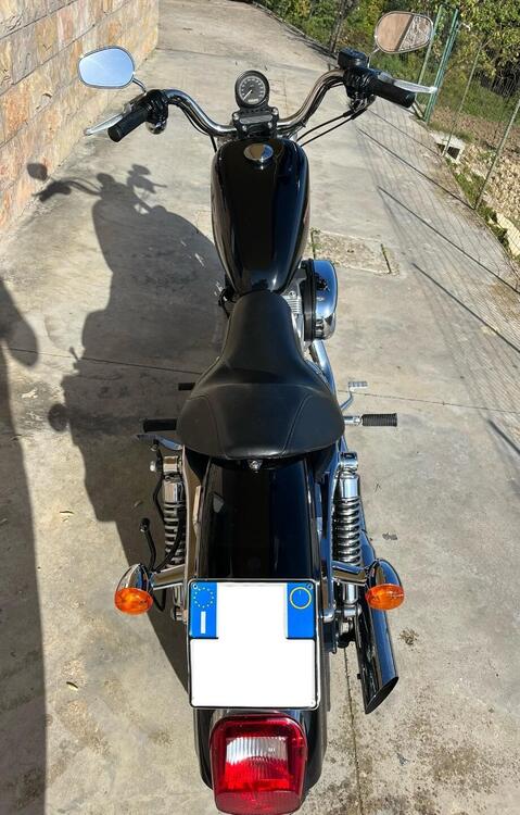 Harley-Davidson 883 Low (2006 - 07) - XL 883L (2)