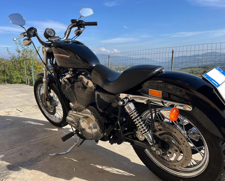 Harley-Davidson 883 Low (2006 - 07) - XL 883L (3)