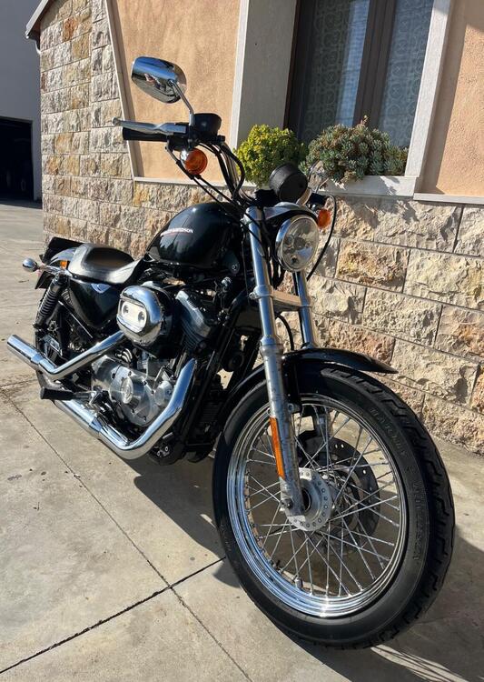 Harley-Davidson 883 Low (2006 - 07) - XL 883L (4)
