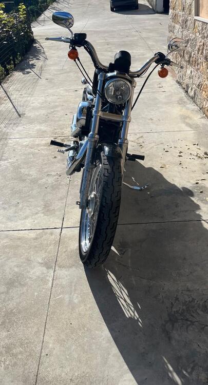 Harley-Davidson 883 Low (2006 - 07) - XL 883L (5)