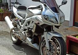 Suzuki SV 1000 S usata