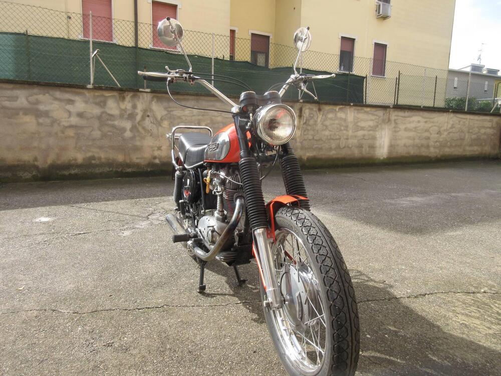 Ducati scrambler 350