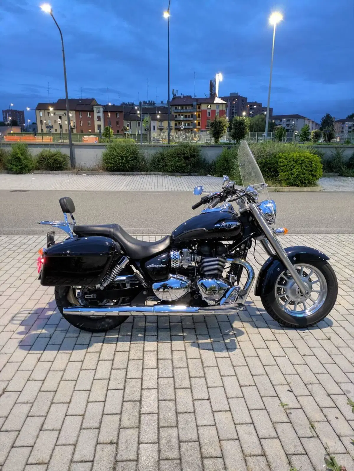 Triumph America (2011 - 16) (9)