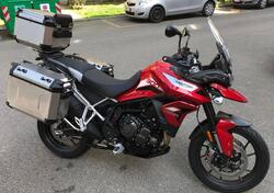 Triumph Tiger 900 GT Pro (2020 - 23) usata