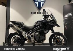 Triumph Tiger 1200 GT Pro (2022 - 23) usata