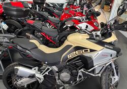 Ducati Multistrada 1260 Enduro (2019 - 21) usata