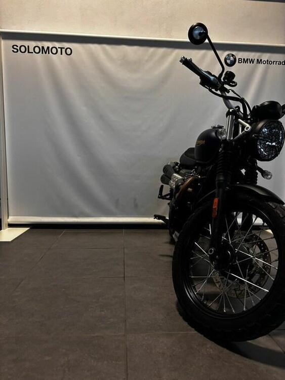 Triumph Street Scrambler 900 Gold Line Edition (2021 - 23) (4)