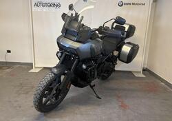 Harley-Davidson Pan America 1250 (2020 - 25) usata
