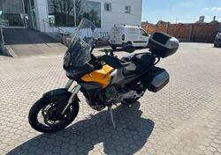 Moto Guzzi Stelvio (2024 - 25) usata