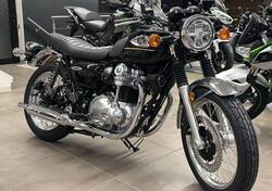 Kawasaki W 800 (2021 - 25) nuova