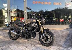 Benelli Leoncino 800 (2022 - 25) nuova