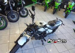 Kawasaki Eliminator 500 (2024 - 25) usata