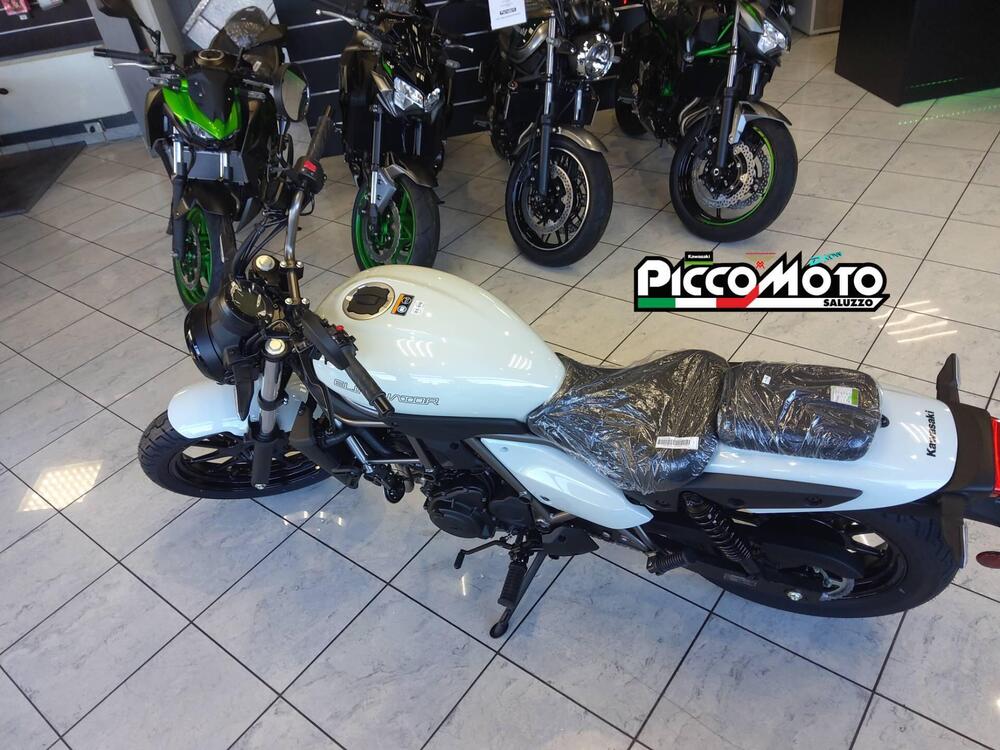 Kawasaki Eliminator 500 (2024 - 26) (3)