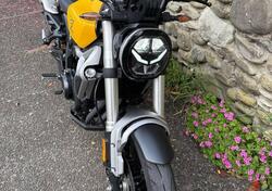 Voge Trofeo 350AC (2022 - 25) usata