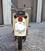 Moto Guzzi Galletto 192 (7)
