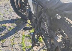 Brixton Motorcycles Felsberg 250 (2020) usata