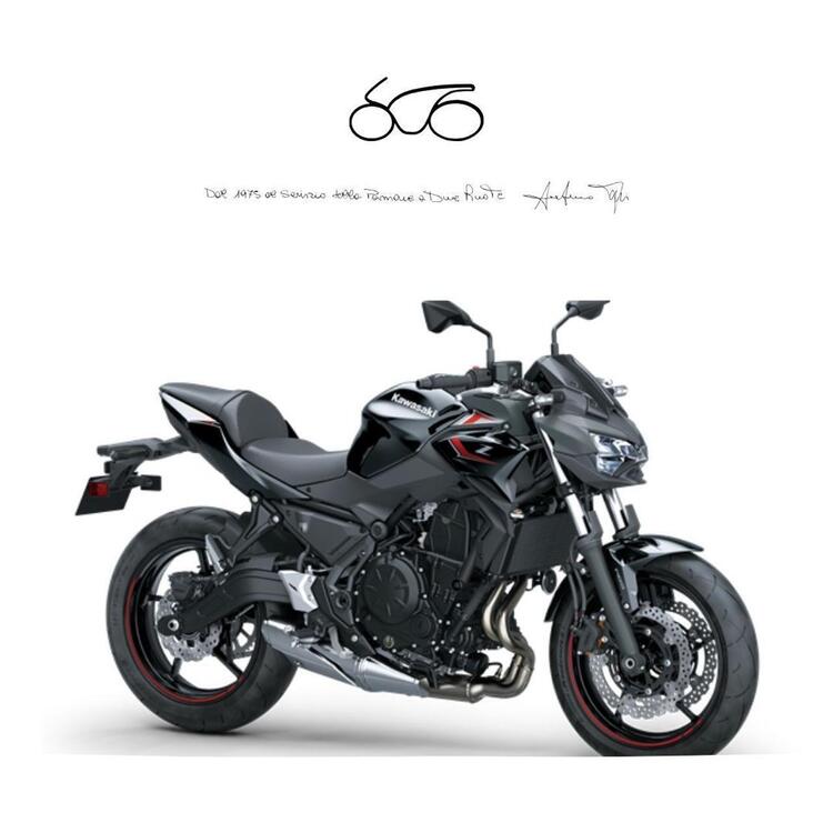 Kawasaki Z 650 (2021 - 24)