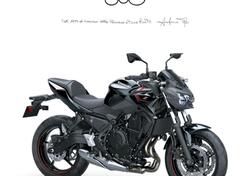 Kawasaki Z 650 (2021 - 24) nuova