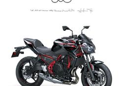 Kawasaki Z 650 (2021 - 24) nuova