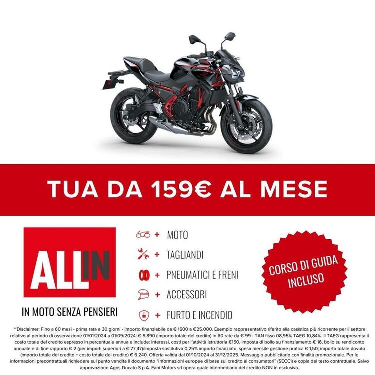 Kawasaki Z 650 (2021 - 24) (2)