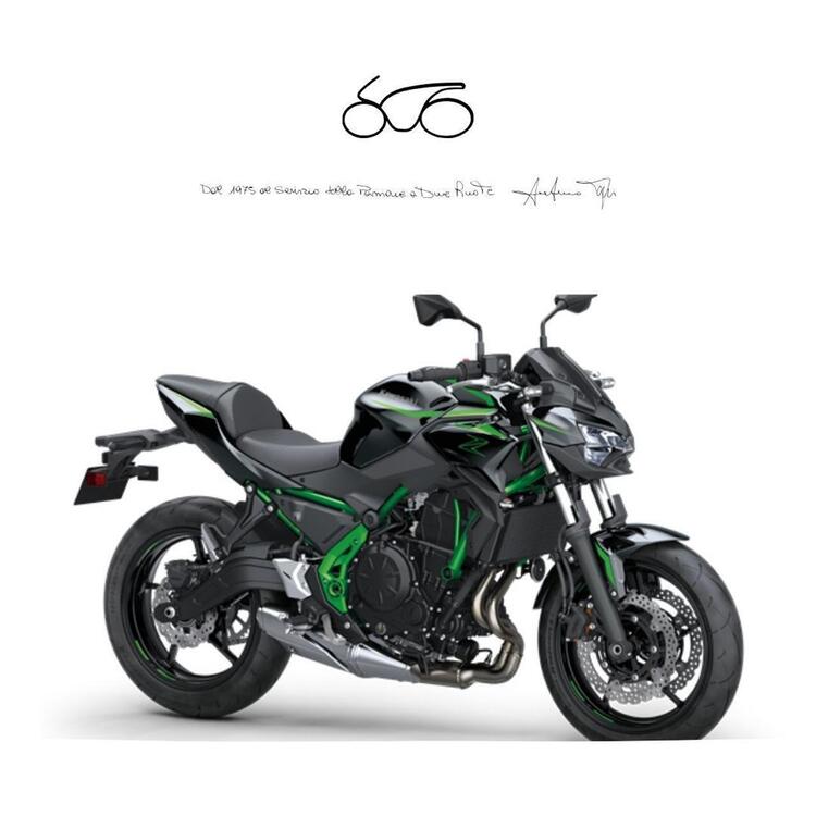 Kawasaki Z 650 (2021 - 24)