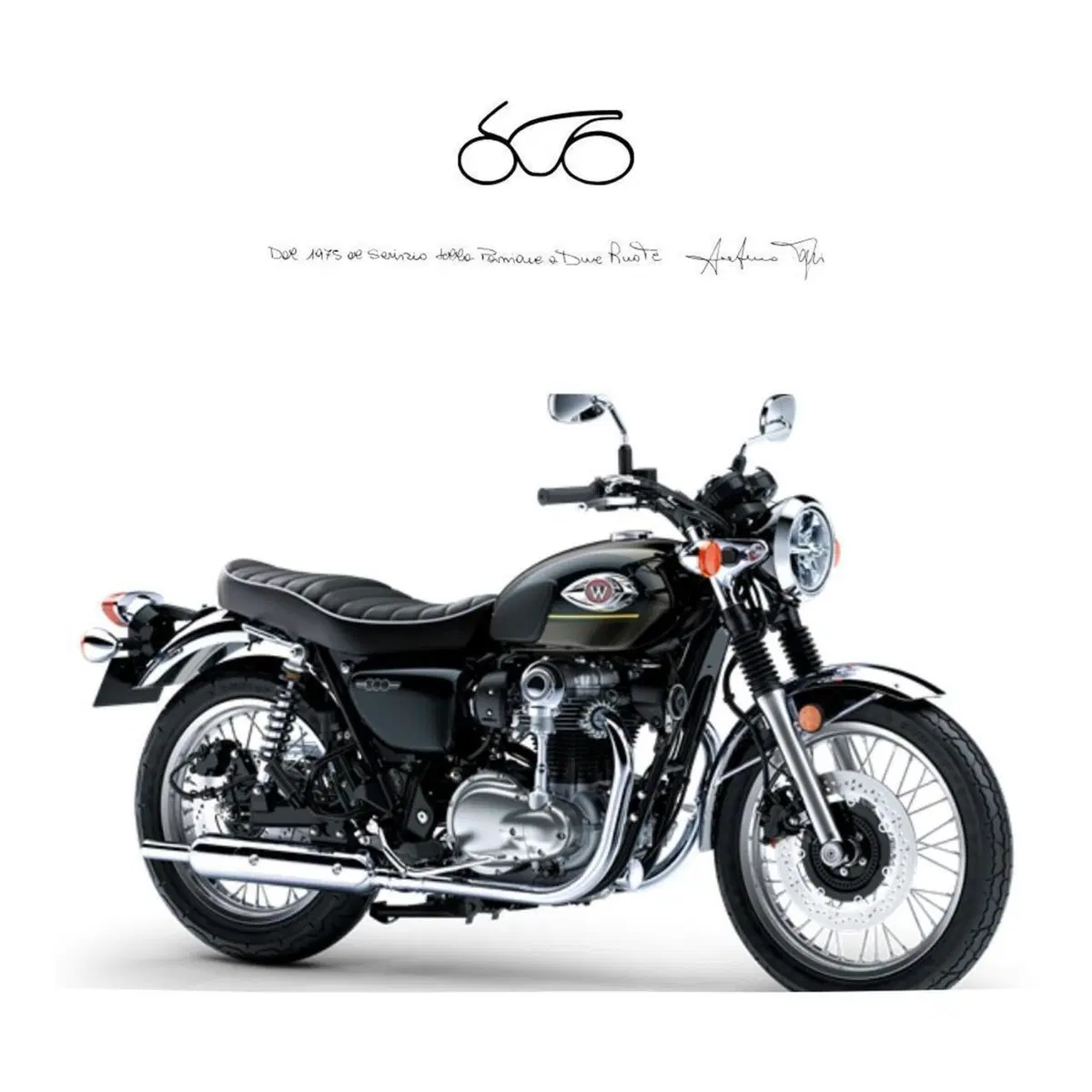 Kawasaki W 800 (2021 - 26)