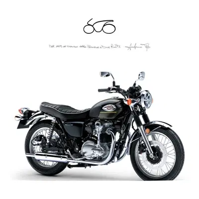 Kawasaki W 800 (2021 - 26) nuova