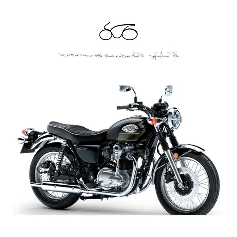 Kawasaki W 800 (2021 - 26)