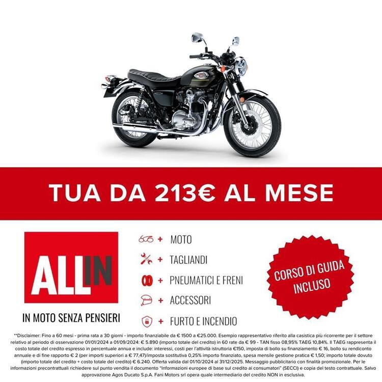 Kawasaki W 800 (2021 - 25) (2)