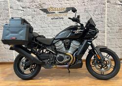 Harley-Davidson Pan America 1250 (2020 - 25) usata