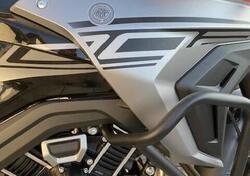 Morbidelli T1002VX (2024 - 25) nuova