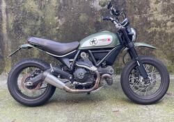 Ducati Scrambler 800 Urban Enduro (2015 - 16) usata