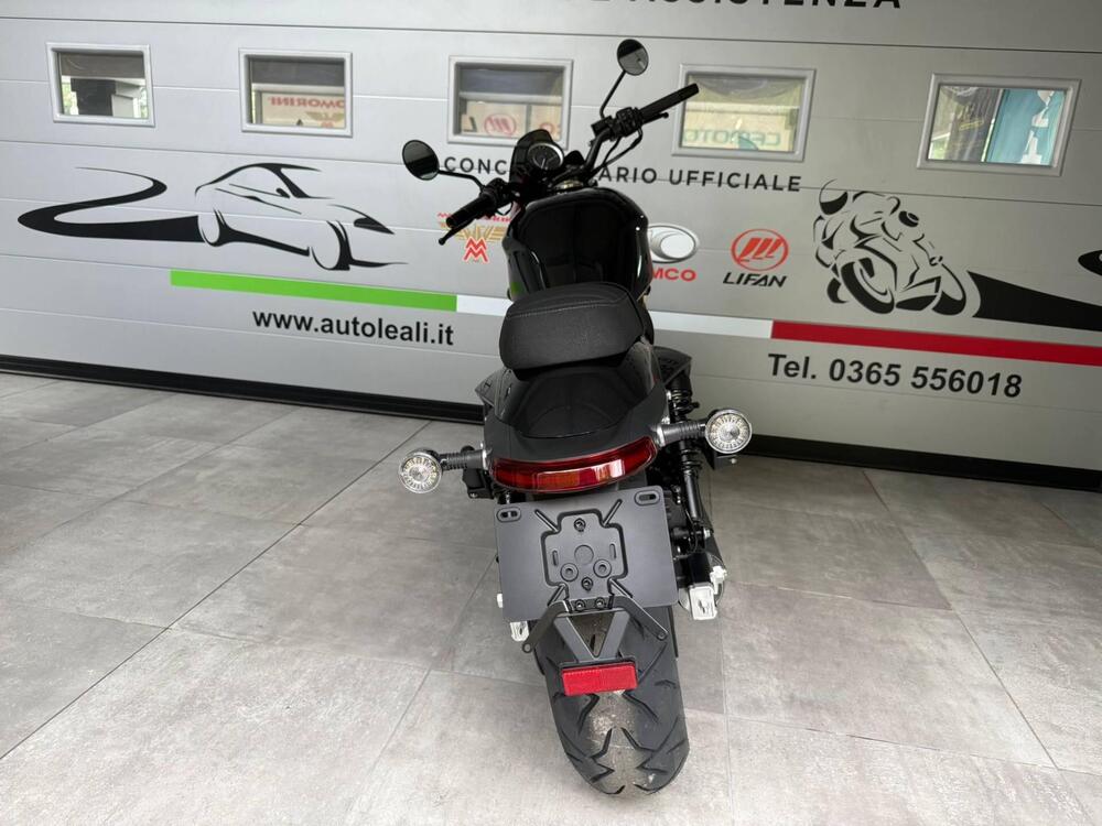 Moto Morini Calibro Custom (2024 - 25) (4)