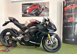 Ducati Panigale V4 1100 SP (2021) usata