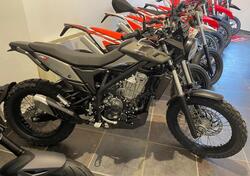 Betamotor Alp X (2024 - 25) nuova
