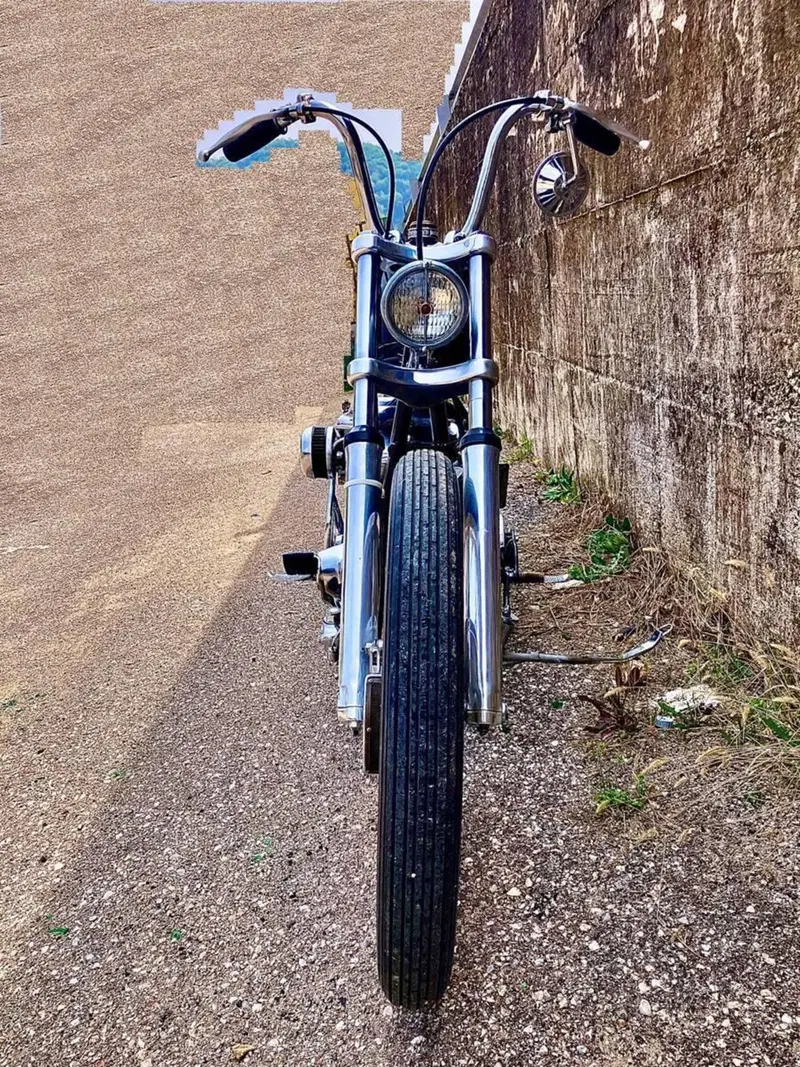 Harley-Davidson Chopperino Shovel 1340 (3)
