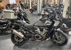 Harley-Davidson Pan America 1250 Special (2020 - 25) usata