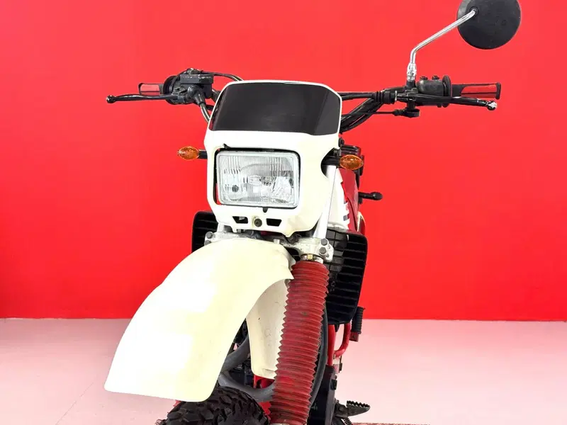 Yamaha XT 600 (1984 - 98) (15)