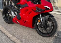 Ducati Panigale V4 1100 (2018 - 19) usata
