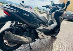 Honda Forza 300 (2019 - 20) usata