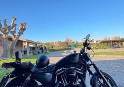 Harley-Davidson 883 Iron (2017 - 20) - XL 883N usata