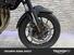 Triumph Tiger 1200 GT Pro (2024 - 25) (14)