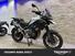 Triumph Tiger 1200 GT Pro (2024 - 25) (9)