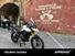 Triumph Tiger 900 Rally (2020 - 23) (12)