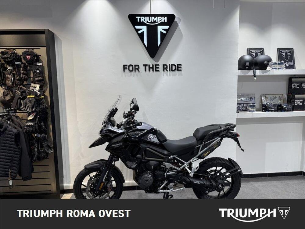Triumph Tiger 1200 GT Pro (2024 - 25)