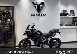 Triumph Tiger 1200 GT Pro (2024 - 25) usata