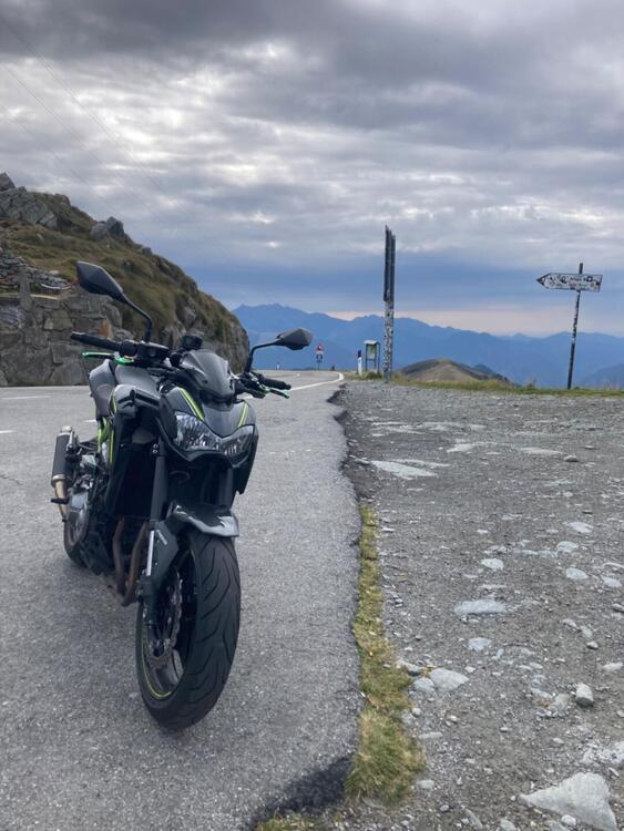 Kawasaki Z 900 (2019)